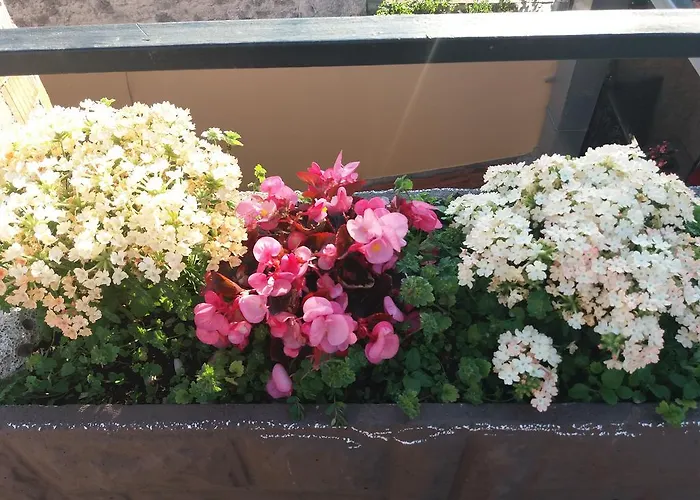 Citta Vecchia Apartamento Mostar